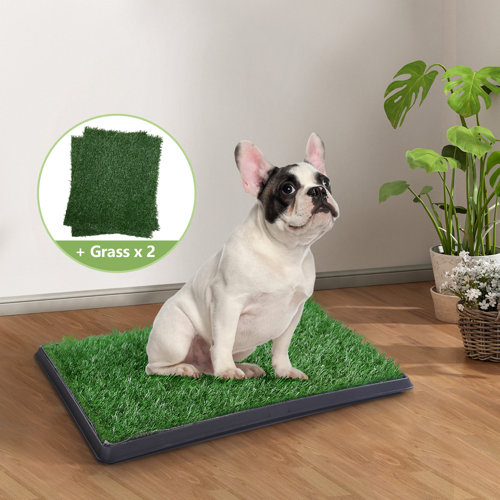 Tucker Murphy Pet™ Dariyon Dog Pee Turf With 2 Replacements Grass Wayfair